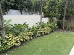 Coronation Road (D10), Detached #568102681